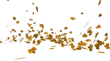 arce hoja otoño en el suelo alto calidad transparente imagen png