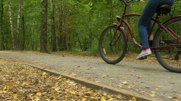 Young caucasian woman is riding bicycle on trail in the park in autumn. Camera is moving. Low angle steadicam shot. Slow motion. video