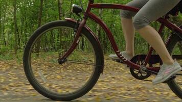 Legs of caucasian woman pedal bicycle in the park with fallen leaves in autumn. Steadicam close-up shot. Slow motion. video