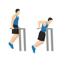 Man doing trice dip exercise. vector