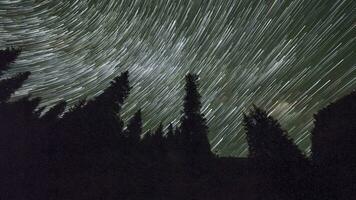 kumulativ Zeit Ablauf von Nacht sternenklar Himmel mit Star Wanderwege Über Nadelbaum Wald video