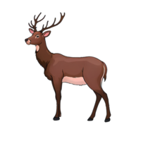 Deer from Side View Hand Drawn Cartoon Style Illustration AI Generated png