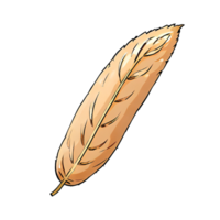 Feather Hand Drawn Cartoon Style Illustration AI Generated png