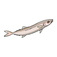 ansjovis fisk hand dragen tecknad serie stil illustration ai genererad png
