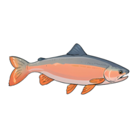 Arctic Char Fish Hand Drawn Cartoon Style Illustration AI Generated png
