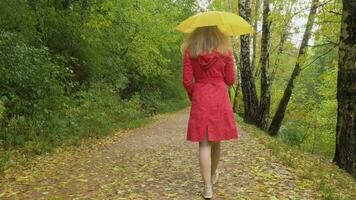 giovane sottile donna nel rosso mantello con giallo ombrello è a piedi su un' sentiero con caduto le foglie nel parco nel piovoso giorno. lento movimento. telecamera in movimento. indietro Visualizza. steadicam sparo. video