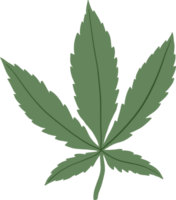 Simplicity cannabis leaf freehand drawing png