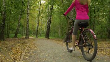 Young caucasian woman is slowly riding bicycle on path in the forest park with fallen leaves in autumn. Camera is moving forward. Low angle steadicam shot. video