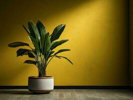 Modern empty room with a green plant in a planter AI Generative photo