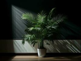 Modern empty room with a green plant in a planter AI Generative photo