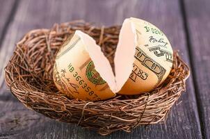 broken egg with the image of dollars in nest. Selective focus photo