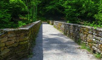 old stonewall borders a path through the forest photo