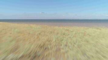 Drone flying fast over grass and breakage to the sea. video
