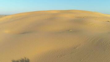 zumbido volador terminado arena duna en desierto. cámara es inclinación abajo. aéreo vista. video