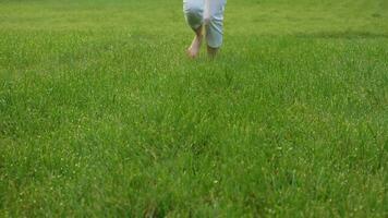 Barefoot legs in white breeches of young caucasian woman running towards the camera in the green grass with dew in the morning. Close-up shot. Super Slow motion. Shallow depth of field. video