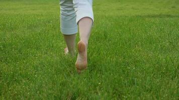 pieds nus jambes dans blanc culotte de Jeune caucasien femme fonctionnement dans le vert herbe avec rosée dans le Matin. fermer tir. super lent mouvement. peu profond profondeur de champ. video