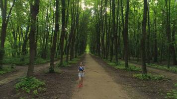 Young woman running in beautiful green walkway in the sunny morning. Drone flying backward. Aerial view. video