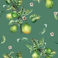 Branch of tree and single guava fruit watercolor seamless pattern isolated on green background. Green leaves, flowers of guajava hand drawn. Design for wrapping, packaging, fabric, paper, textile vector