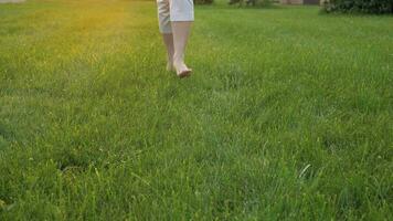 pieds nus jambes dans blanc culotte de Jeune caucasien femme fonctionnement vers le caméra dans le vert herbe à le coucher du soleil. fermer tir. lent mouvement. peu profond profondeur de champ. video