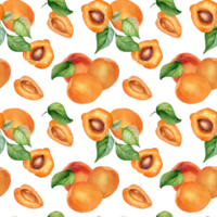 Watercolor whole and segment apricots seamless pattern. Orange fruits illustration. Peach, leaves, nectarine hand drawn. Design element for package, wrapping, textile, background. png