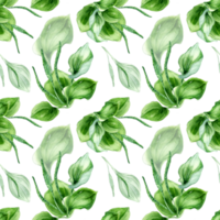 plantago a foglia larga medicinale pianta acquerello senza soluzione di continuità modello. piantaggine, verde foglie, erba, psillio mano disegnato. design per tessile, pacchetto, sfondo, avvolgere. png