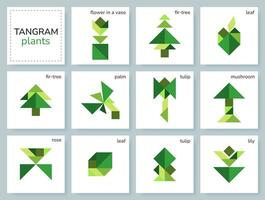 tangram rompecabezas juego para niños. geométrico vistoso colección con varios aislado plantas, flores, hojas, arboles aislado tangram íconos en blanco fondo. vector ilustración