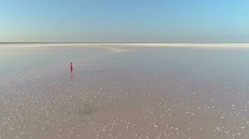 solitario joven caucásico mujer en rojo vestir con largo pelos es caminando en superficie de enorme sal lago. zumbido es volador alrededor. aéreo vista.. video