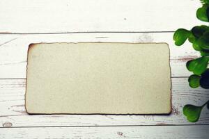 Burnt edge brown paper with green plant on wooden desk. photo