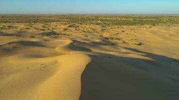 fuco è volante al di sopra di alto sabbia duna nel deserto. aereo Visualizza. video