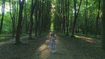 Jeune content femme dans blanc robe est fonctionnement dans magnifique vert ruelle dans le ensoleillé Matin. drone en volant vers l'arrière. aérien voir. video