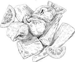 limón pescado plato bosquejo ilustración vector