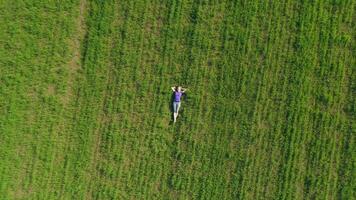 giovane donna è rilassante su enorme verde prato. fuco è Filatura in giro e volante verso l'alto. aereo Visualizza. video