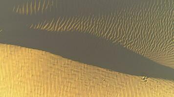 arena duna en desierto. zumbido es hilado alrededor y volador hacia arriba. aéreo vertical parte superior disparo. video