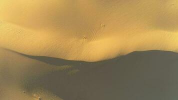 le sable dune dans désert. drone est en volant à le droite à haute altitude. aérien verticale Haut tir. video