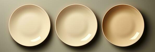 un elegante conjunto de minimalista porcelana comida platos aislado en un gris pardo degradado antecedentes foto