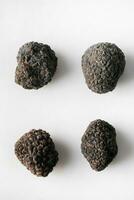 Macro shot of black truffle mushroom whole isolated on white background photo
