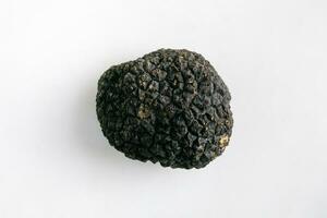 Macro shot of black truffle mushroom whole isolated on white background photo