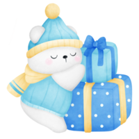 A polar bear with gift boxes png