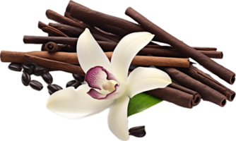 Vanilla pods and orchid flower png with AI generated.
