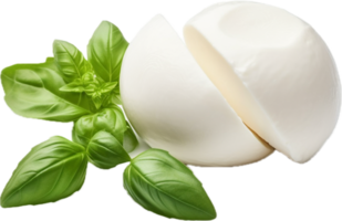 Mozzarella cheese png with AI generated.