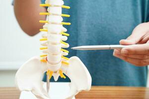 Asian student learning with human bone and spinal nerve model in anatomy biology in classroom at high school. photo