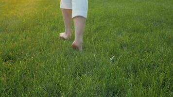 pieds nus jambes dans blanc culotte de Jeune caucasien femme fonctionnement de le caméra dans le vert herbe à le coucher du soleil. fermer tir. lent mouvement. peu profond profondeur de champ. video