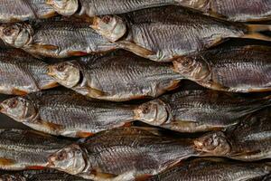 Lots of dried or jerky salted taranka. Fishes background. Salty beer appetizer. Traditional way of preserving fish. Close up photo