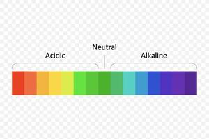 The Ph scale universal Indicator ph Color Chart diagram. Vector illustration with ph scale.