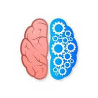 Human brain medical. Internal organ. Neural network. Brainstorming, idea. vector