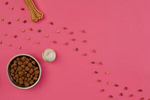 Dog snacks, dog chews, dog bone, ball toy for dog on a pink background with copy space photo