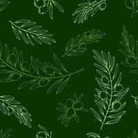 Seamless pattern with olive branches. Hand drawn illustration. vector