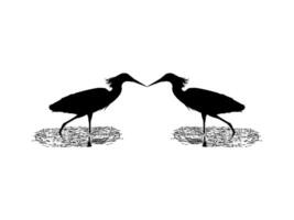 Pair of The Black Heron Bird, Egretta Ardesiaca, also known as the Black Egret Silhouette for Art Illustration, Logo, Pictogram, Website, or Graphic Design Element. Vector Illustration