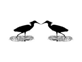 Pair of The Black Heron Bird, Egretta Ardesiaca, also known as the Black Egret Silhouette for Art Illustration, Logo, Pictogram, Website, or Graphic Design Element. Vector Illustration