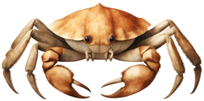 Crab. AI Generative png